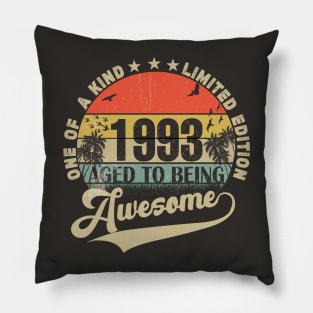 Vintage Year 1993 Pillow