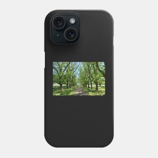 The Long Driveway in Spring Phone Case