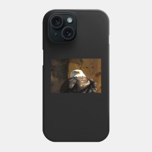 Bald Eagle Phone Case