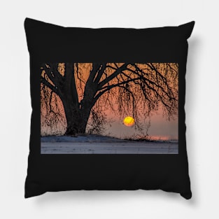 Cottonwood Sunrise Embrace Pillow