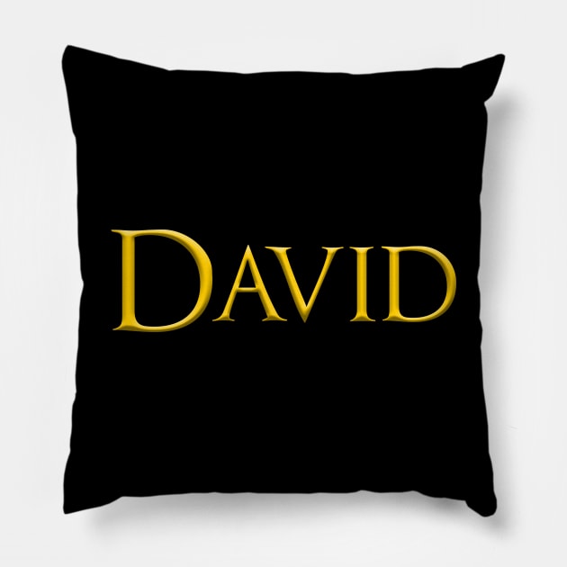 David Male Name Gold On Dark Pillow by funfun