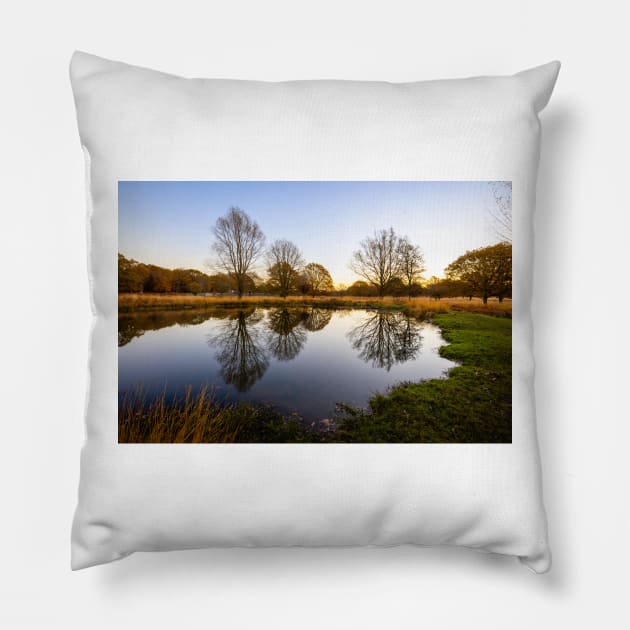 Richmond Park Morning At White Ash Pond Pillow by GrahamPrentice