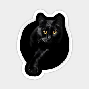 Black Cat Yellow Eyess Cats Magnet