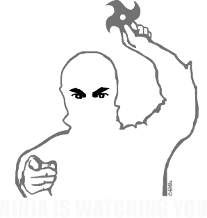 Ninja is watching you Magnet