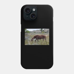 Brown Wild Horse Phone Case