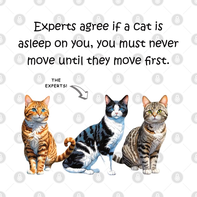 Experts agree if a cat is asleep on you, you must never move until they move first - funny watercolour cat design by DawnDesignsWordArt
