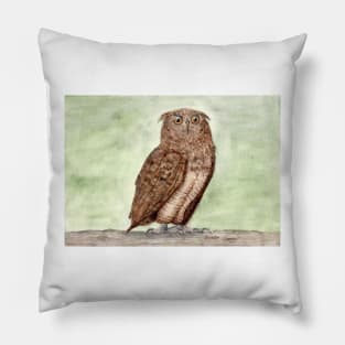 Owl spirit animal Pillow