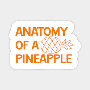 Anatomy of a Pineapple Magnet