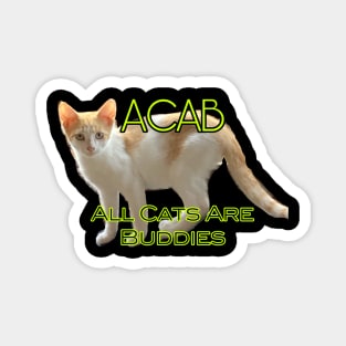 ACAB- All Cats Are Buddies Magnet