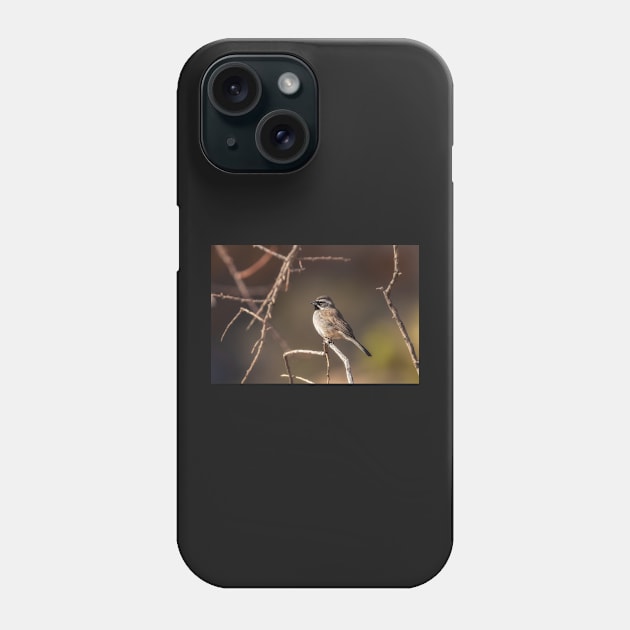 Black-throated Sparrow Phone Case by jvnimages