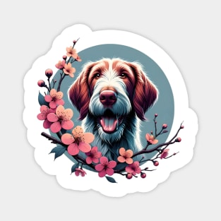 Spinone Italiano Delights in Spring Cherry Blossoms Magnet