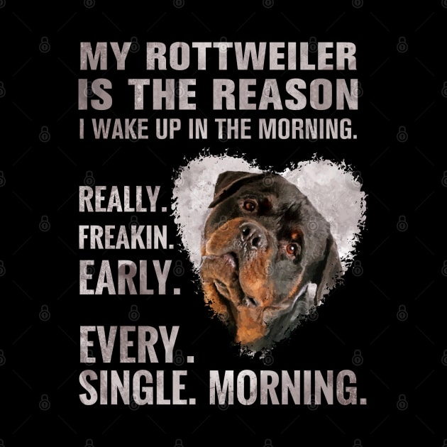 Rottweiler  - Metzgerhund by Nartissima