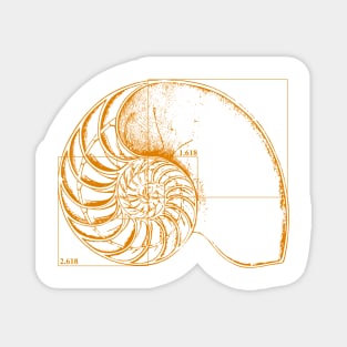 Fibonacci on a nautilus shell (orange) Magnet