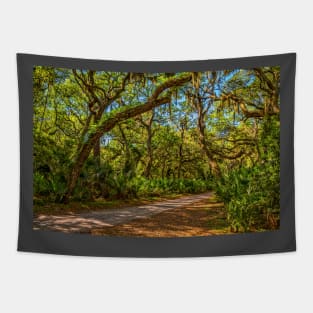 Cumberland Island National Seashore Tapestry