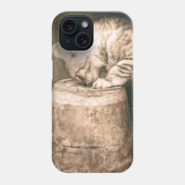 Cat curiosity Phone Case by RiverPhildon