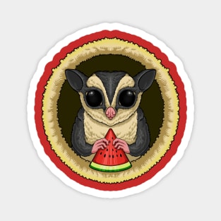 SUGAR GLIDER Magnet