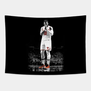 Jalen Brunson The Monment Tapestry