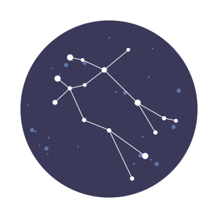 Constellation T Shirts Teepublic