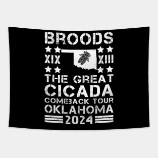 Great Cicada Comeback Tour Oklahoma 2024 Cicada broods XIII and XIX in Oklahoma Tapestry