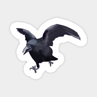 flying crow friend Magnet