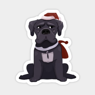 Cute Cane Corso Drawing Magnet