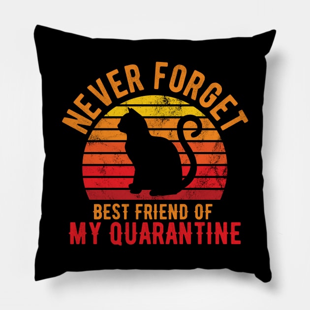 Funny Quarantine Quotes quarantine quotes Pillow by Gaming champion