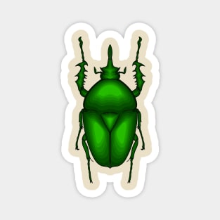 Mecynorhina torquata bug cartoon illustration Magnet