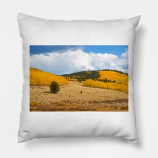 Kenosha Pass Study 7 Pillow