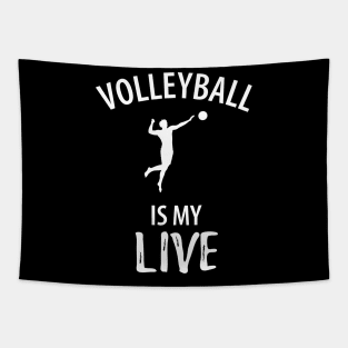 Volleyball Sport Team Play Gift Tapestry