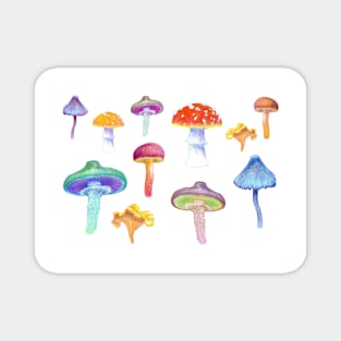 Mushrooms2 Magnet