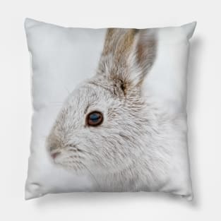 Snow Shoe Hare Pillow