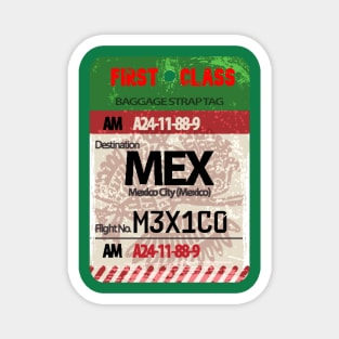 Mexico city luggage tag Magnet