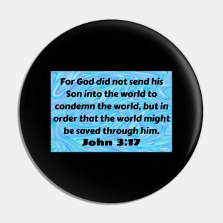 Bible Verse John 3:17 Pin