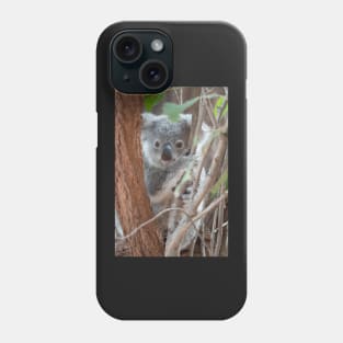 Baby Koala, Australian Wildlife Phone Case