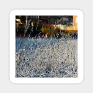 Frozen field in the outskirts of Glasgow Magnet