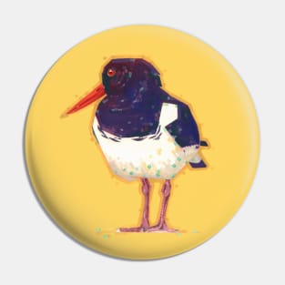 Oystercatcher! Pin