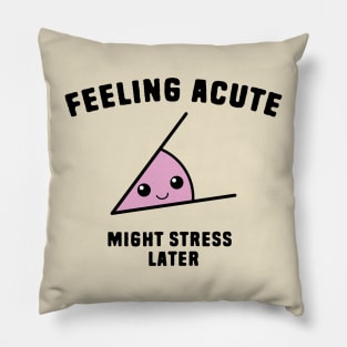 Funny Math pun Jokes Pillow