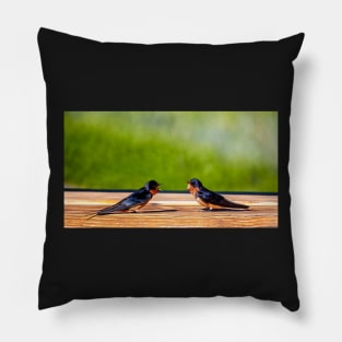 A Pair of Barn Swallows Arguing Pillow