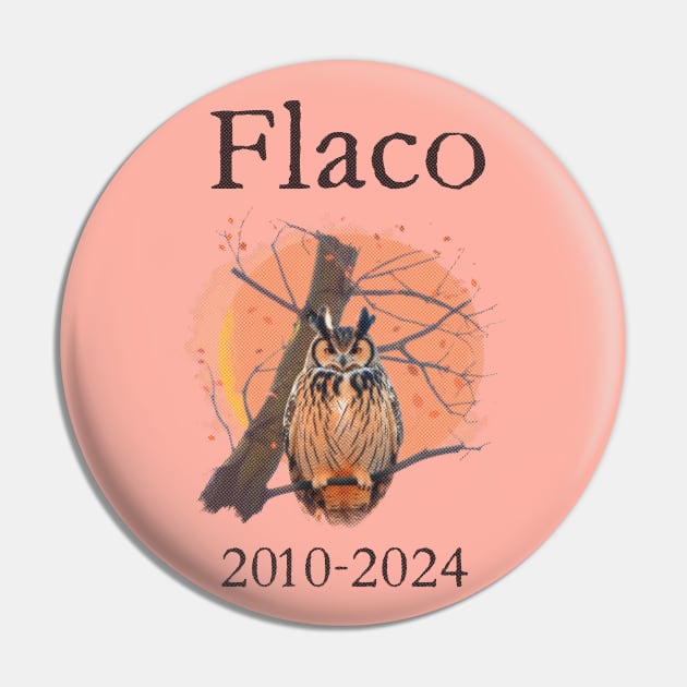 Flaco 2010-2024 Pin by WickedAngel