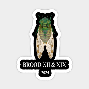 Cicada Brood XIII & XIX 2024 Magnet