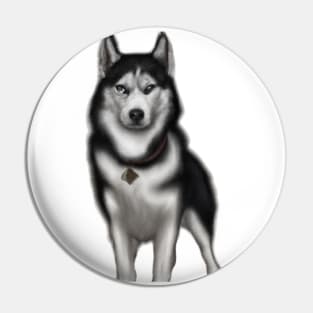 Cute Siberian Husky Drawing Pin