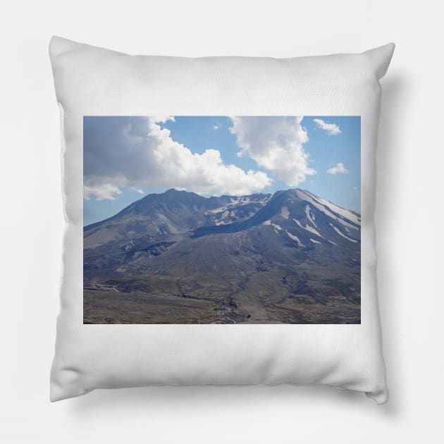 DSC01101_WGC Pillow by wgcosby