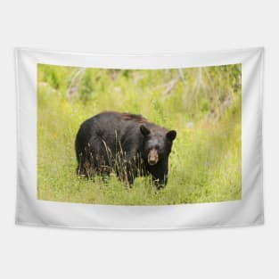 Black Bear in a pasture Tapestry