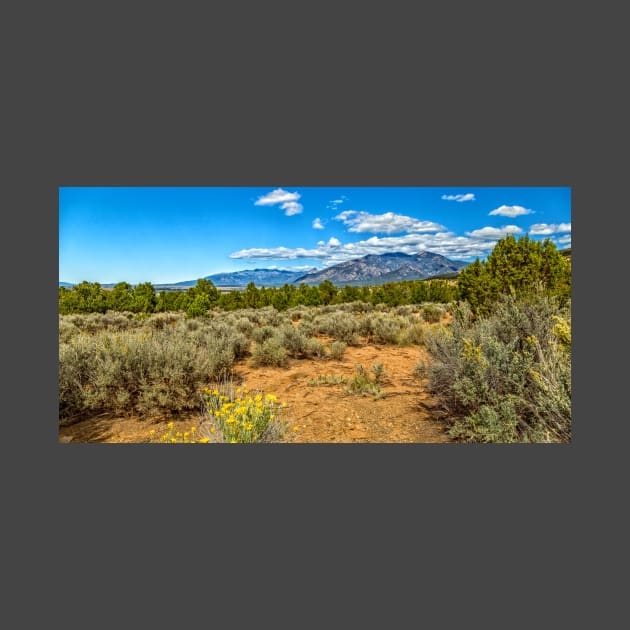 Kit Carson National Forest by Gestalt Imagery