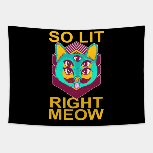 Trippy So Lit Right Meow Party Rave Cat Tapestry