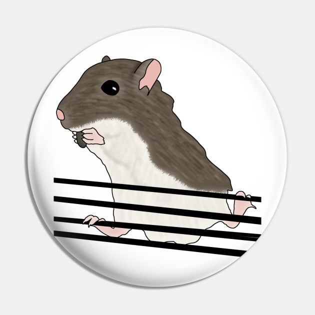 Cute brown gerbil eating sunflower seeds Pin by Becky-Marie