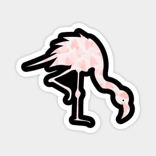 Flamingos flamingo Magnet