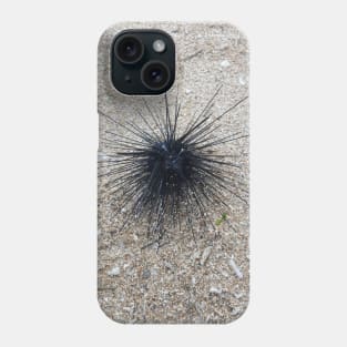 Black Diadem sea urchin in close up on sand beach Phone Case
