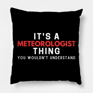 It's A Meteorologist You Wouldn't Understand Pillow