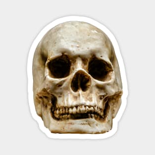 Halloween Human Skull Magnet